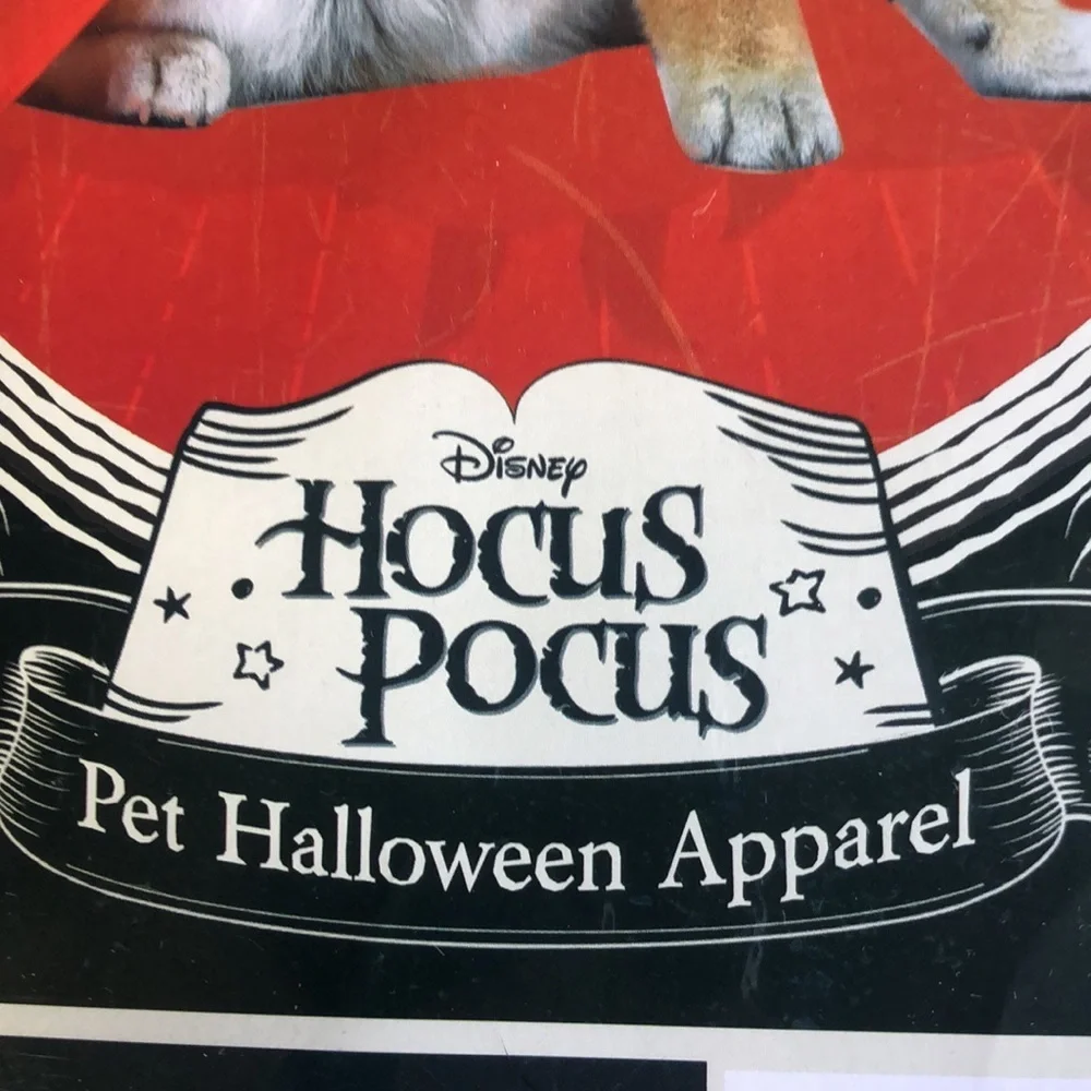 NWT Disney Mary Sanderson Dog Costume